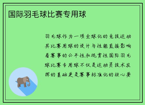 国际羽毛球比赛专用球