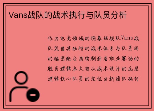 Vans战队的战术执行与队员分析